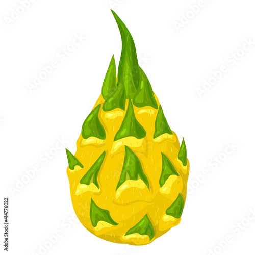 Fresh whole yellow pitaya fruits isolated on white background. Summer fruits for healthy lifestyle. Organic fruit. Cartoon style. Vector illustration for any design.