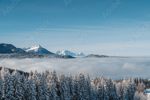 sea of fog