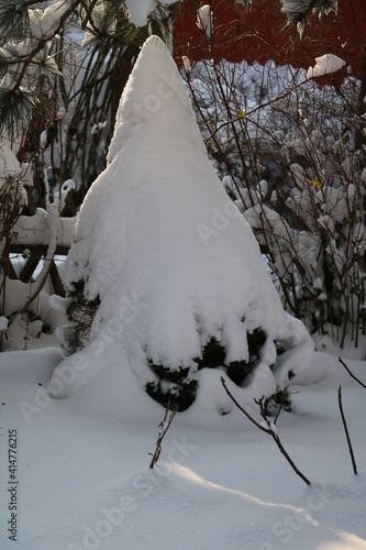 Snow in winter, Germany photo