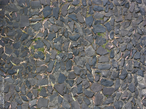 Fondo y textura natural de piso con piedras y hojas secas photo