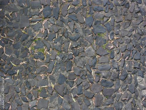 Fondo y textura natural de piso con piedras y hojas secas