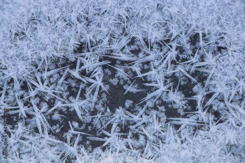 Ice crystals © ¡zenzen!
