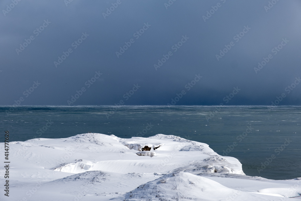 Fototapeta premium polar bear on the ice