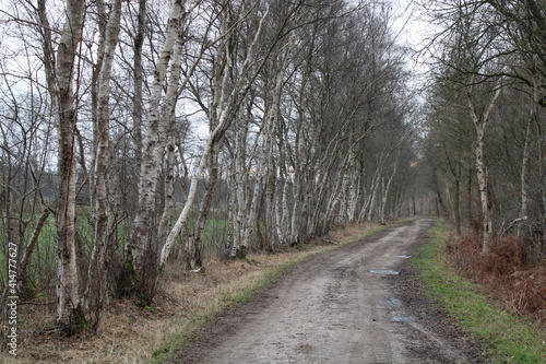 Hiking in the moor in northern Germany