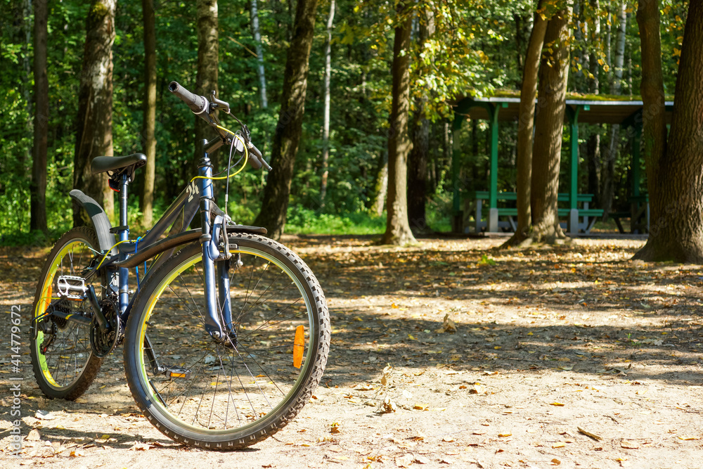bicycle in the sun in the forest bicycle in the sun in the forest