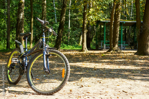 bicycle in the sun in the forest