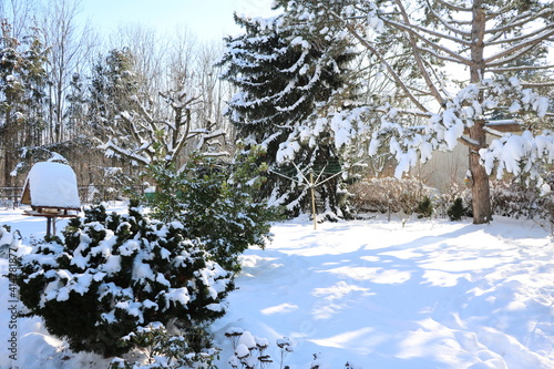 Snow-covered garden in winter, Germany photo