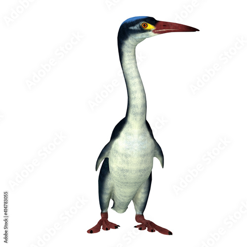 Papier peint Hesperornis Bird Front - Hesperornis is an extinct cormorant-like bird that lived in North America and Russia during the Cretaceous Period