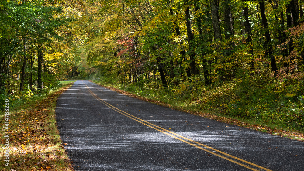 Fototapeta premium Roadway Meandering Through the Autumn Appalachian Mountains Along the Blue Ridge Parkway