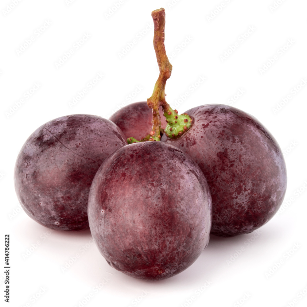 Red grape berry bunch isolated on white background cutout Red grape berry bunch isolated on white background cutout