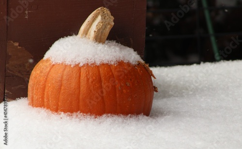 pumpkin on snow