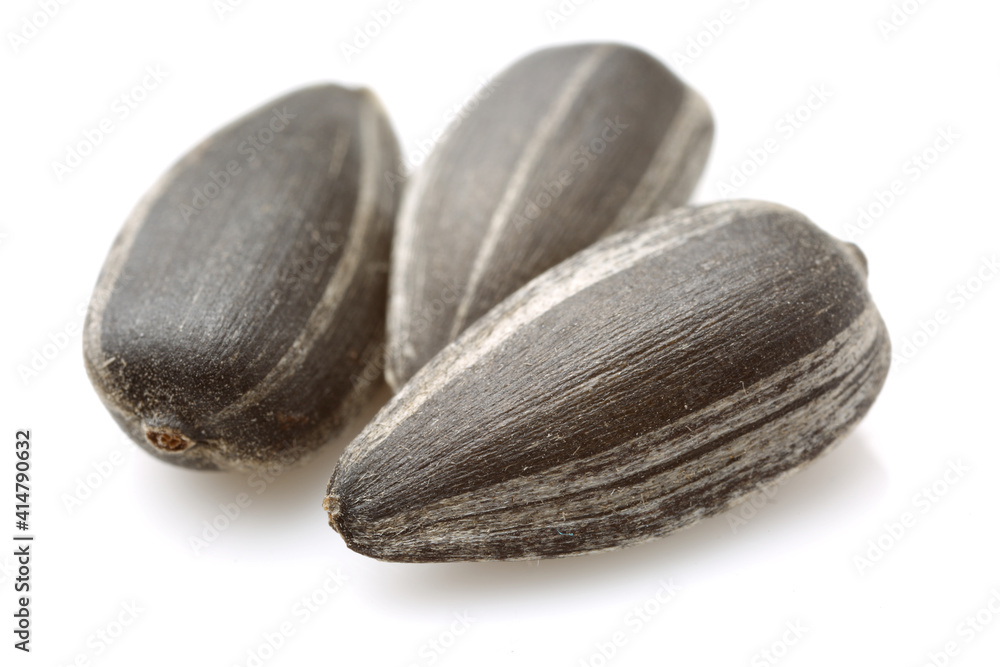 Sunflower seeds on white background Sunflower seeds on white background