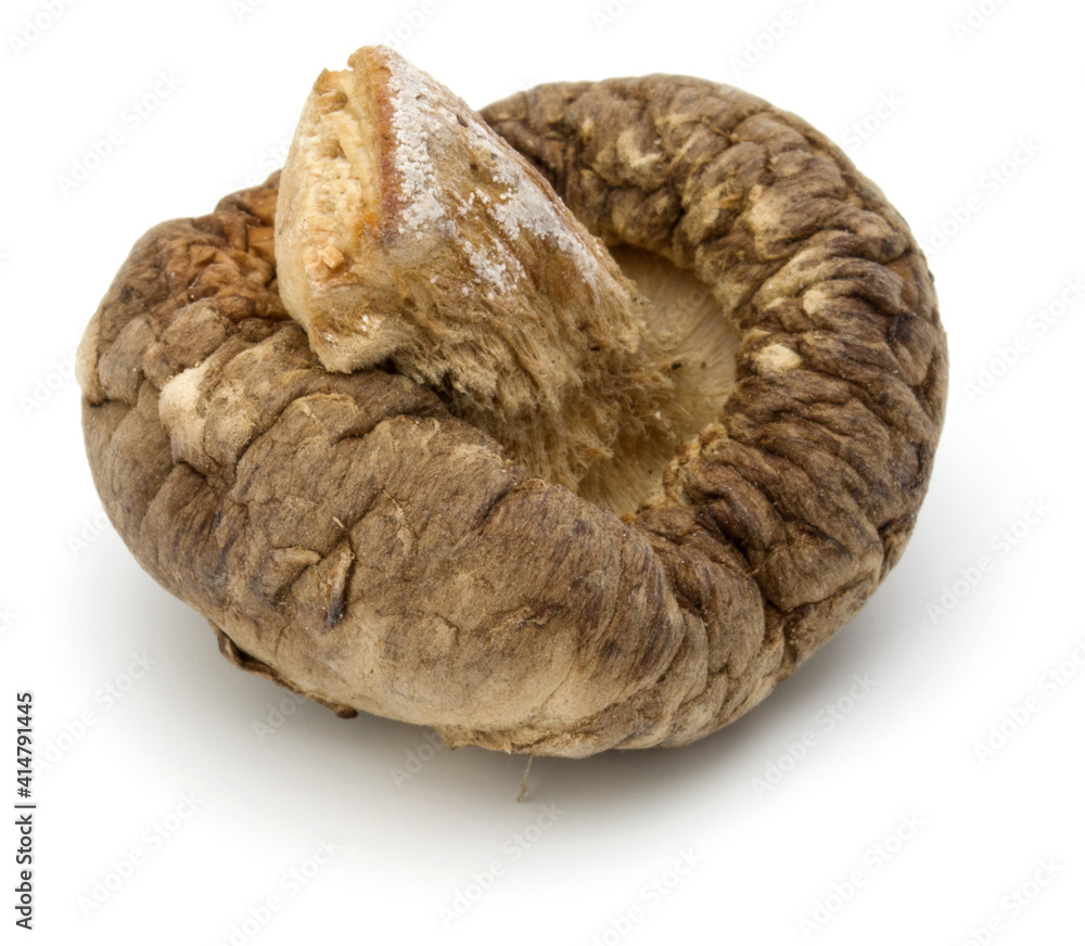 Dried Shiitake Mushroom isolated on white background Dried Shiitake Mushroom isolated on white background