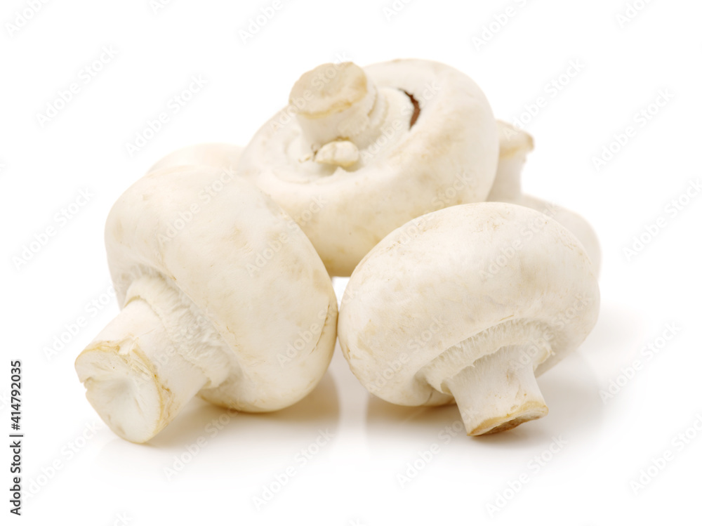 White mushrooms on white background White mushrooms on white background