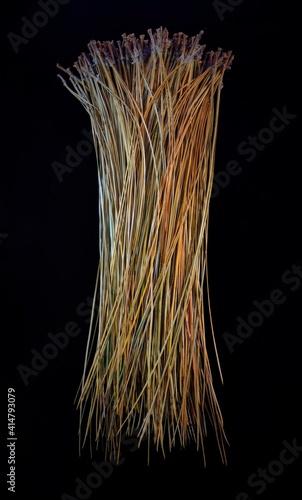 longleaf pine needles for basketry and gourd artwork endangered tree photo