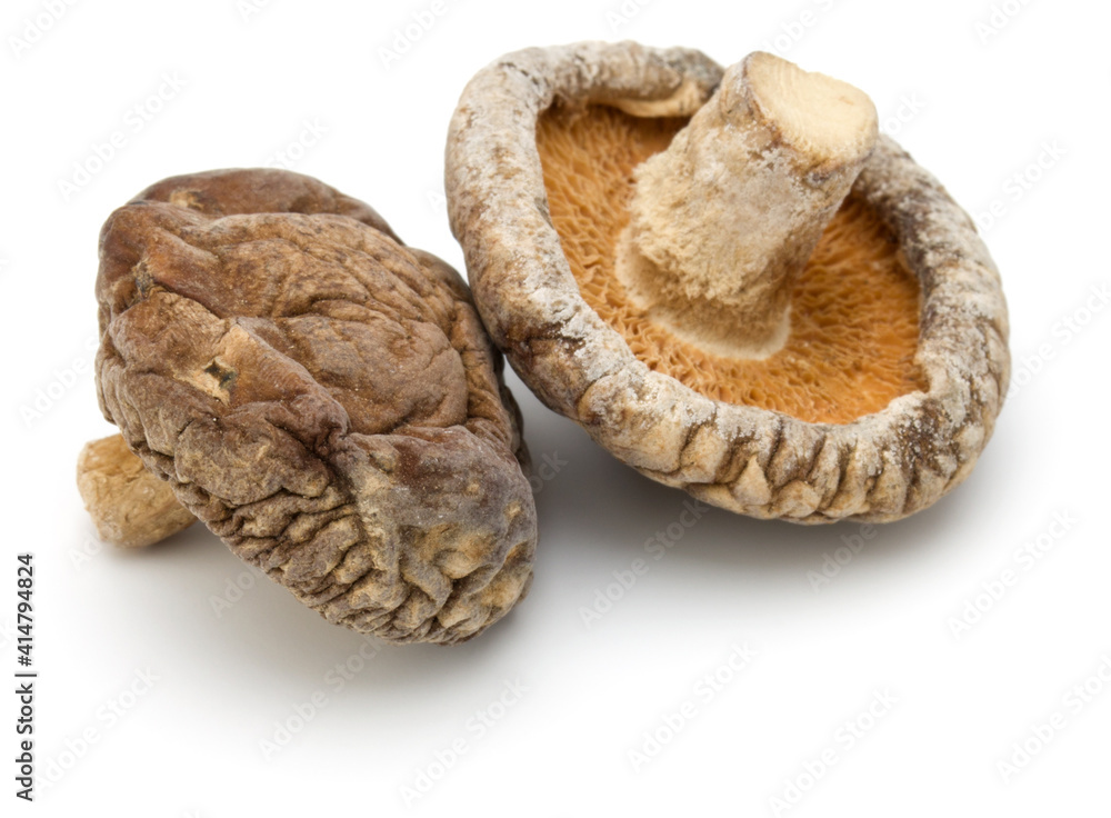 Dried Shiitake Mushroom isolated on white background Dried Shiitake Mushroom isolated on white background