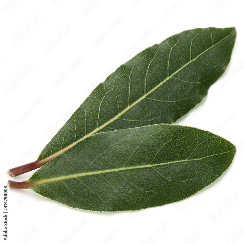 Obraz premium Aromatic bay leaves