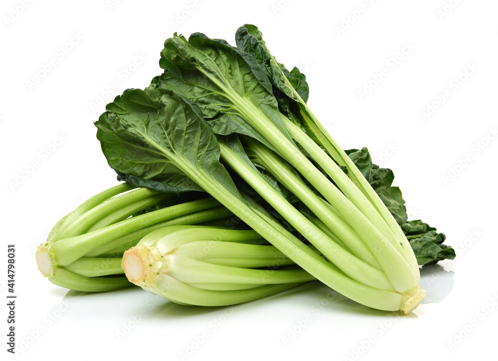 Fresh harvested Tah Tsai lettuce isolated on white. Tah Tsai or (Tatsoi) a commly used green leaf vegetable in Chinese and oriental dishes. Fresh harvested Tah Tsai lettuce isolated on white. Tah Tsai or (Tatsoi) a commly used green leaf vegetable in Chinese and oriental dishes.