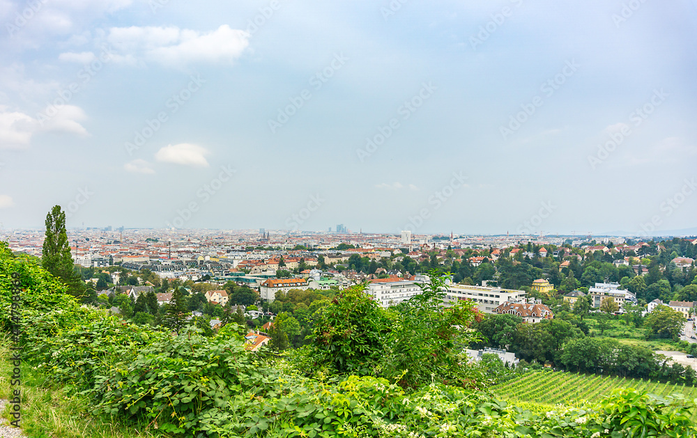 Areal view of the City of Vienna from a hill with vineyard, urban viticulture