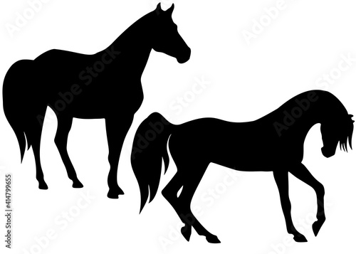 Horses in the set. The horse stands and the horse gallops.
