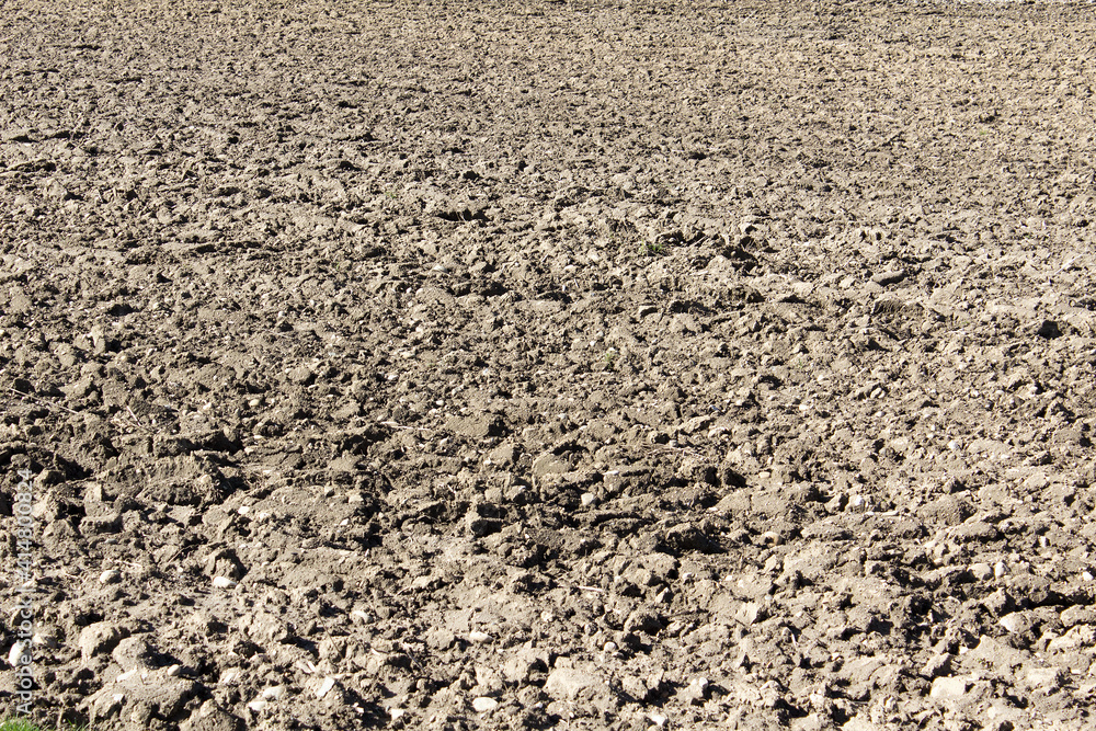 Close up grey spring plowed land texture in the field agriculture organic farming concept Close up grey spring plowed land texture in the field agriculture organic farming concept