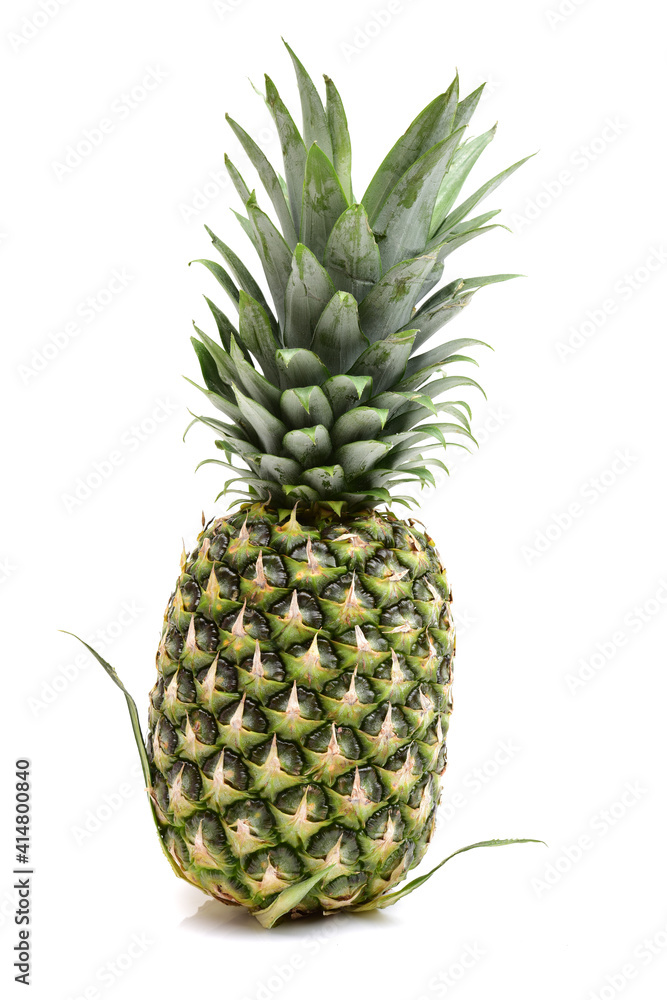 Fototapeta premium pineapple isolated on white background