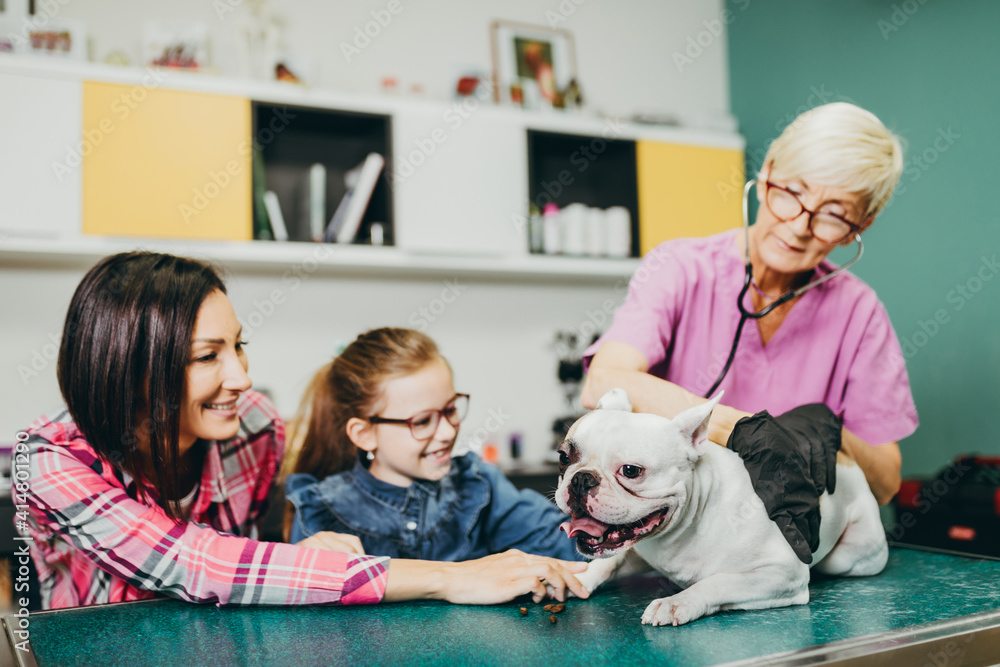 Mother and daughter with their French bulldog at veterinary. Mother and daughter with their French bulldog at veterinary.