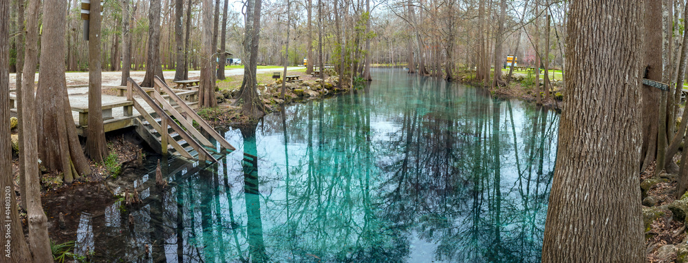 Obraz premium Little Devil's Spring on the Santa Fe River, Gilchrist County, Florida
