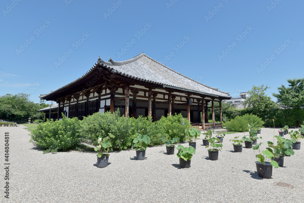 Fototapeta premium 元興寺 極楽坊本堂 奈良市