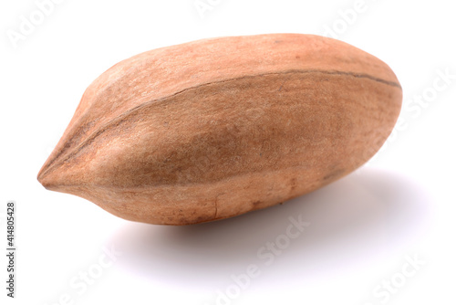 Pecan nuts on white background