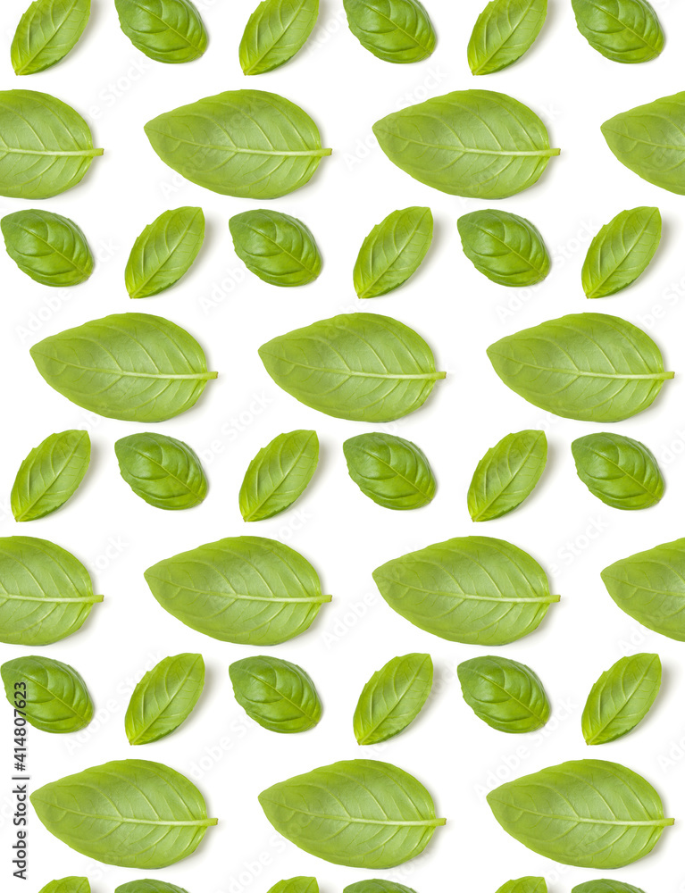 Sweet Basil herb leaves isolated on white background closeup. Flat lay, top view. Seamless pattern.