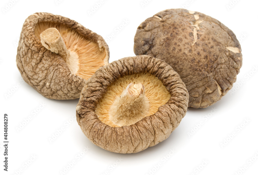 Dried Shiitake Mushroom isolated over white background Dried Shiitake Mushroom isolated over white background