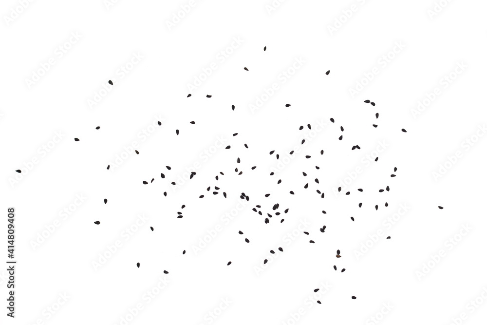 Heap of black nigella seeds. Pile of black cumin seeds spice isolated on white background. Heap of black nigella seeds. Pile of black cumin seeds spice isolated on white background.