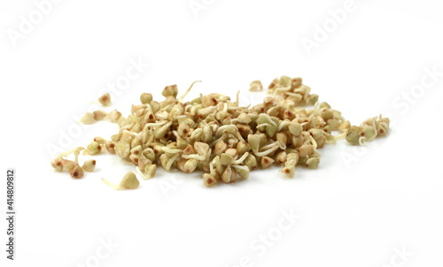 Buckwheat sprouts isolated on white background. Germinated buckwheat isolated.