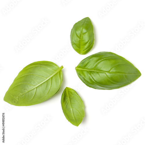 Sweet Basil herb leaves isolated over white background closeup. Flat lay, top view..