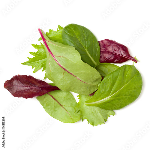 Different salad leaves handful isolated over white background. Top view, flat lay..
