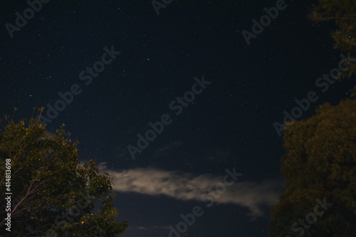 starry sky with constellation visible from the Southern Hemisphere with out of focus tree foliage in the foreground