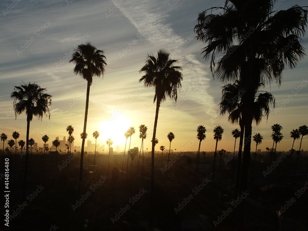Obraz premium Sunrise above downtown Los Angeles with palm trees in the foreground