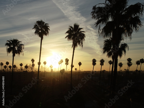 Sunrise above downtown Los Angeles with palm trees in the foreground