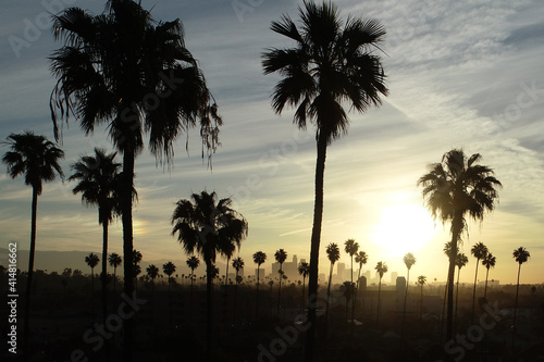 Palm tree sunrise over Los Angeles  California