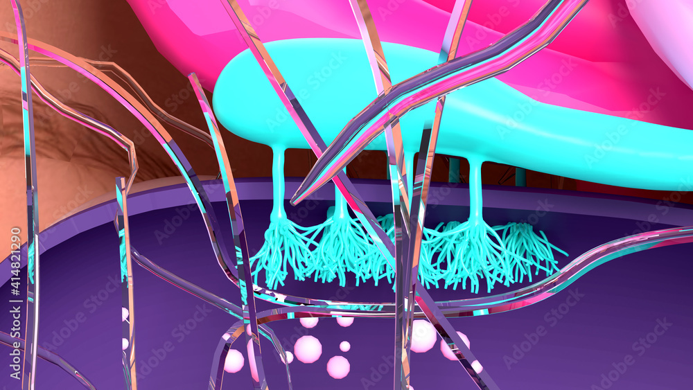 Olfactory system, sensory system used for smelling, olfaction senses