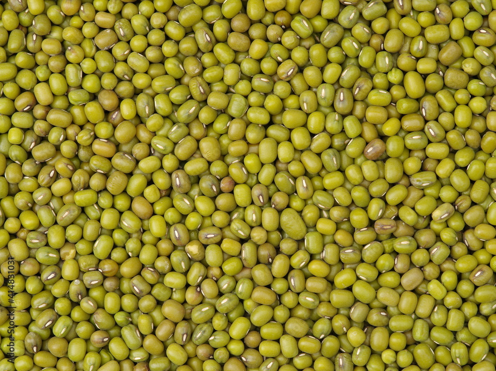 Mung beans background texture, background pattern Mung beans background texture, background pattern