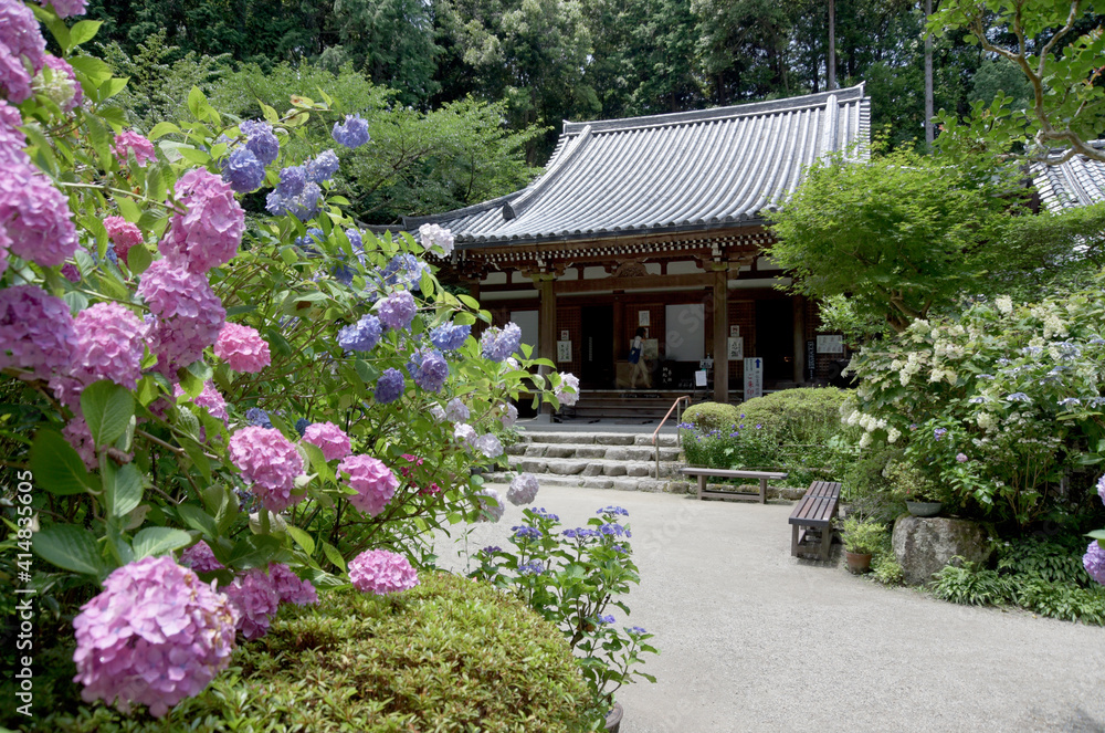 Obraz premium 岩船寺 本堂 京都府木津川市