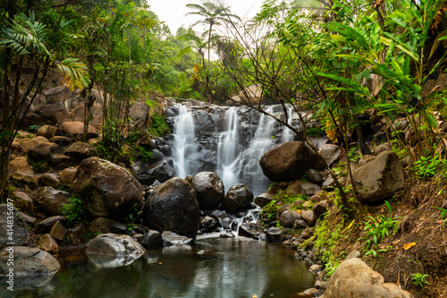 waterfall in the forest
