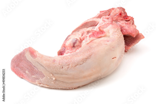 pork tongue isolated on white background