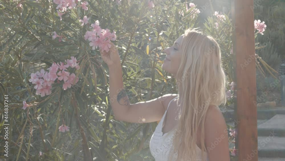 Blonde woman picking oleander blossom to decorate her hair. Woman is wearing a long white dress, smiling in the sunshine. 4K 50fps slow motion, smooth gimbal shot Blonde woman picking oleander blossom to decorate her hair. Woman is wearing a long white dress, smiling in the sunshine. 4K 50fps slow motion, smooth gimbal shot