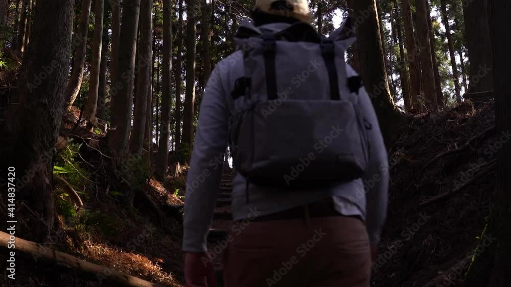 Slow tilt up over back of male hiker silhouette walking through beautiful forest Slow tilt up over back of male hiker silhouette walking through beautiful forest