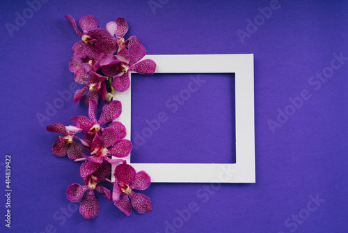 Top view of white frame over purple background with orchid flowers.
