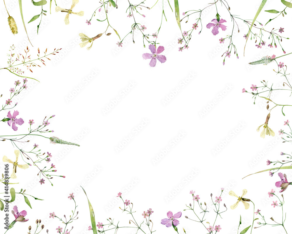 The watercolor frame of wild carnations and pink flowers on a white background. For congratulations, invitations, weddings, anniversaries, birthday The watercolor frame of wild carnations and pink flowers on a white background. For congratulations, invitations, weddings, anniversaries, birthday