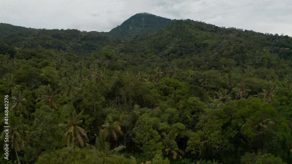Dense tropical rainforest on the slopes of a mountain. Aerial dolly view of palm trees and lush green jungle vegetation on the hill Dense tropical rainforest on the slopes of a mountain. Aerial dolly view of palm trees and lush green jungle vegetation on the hill